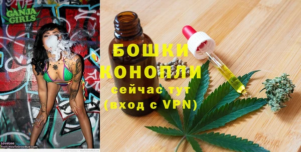 a pvp Аркадак