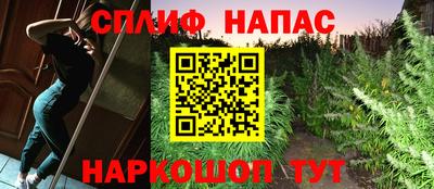 гидропоника Славянск-на-Кубани