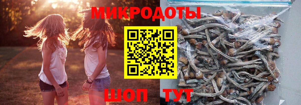 Псилоцибиновые грибы GOLDEN TEACHER Аша