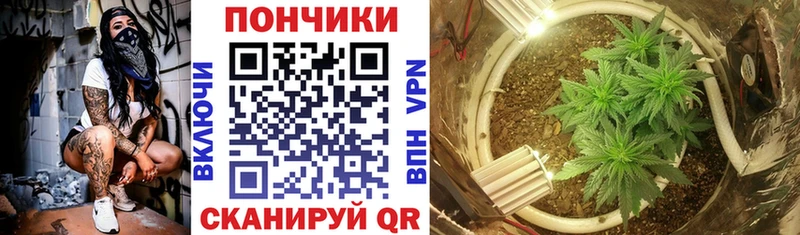 Каннабис планчик  где купить наркоту  Аша 